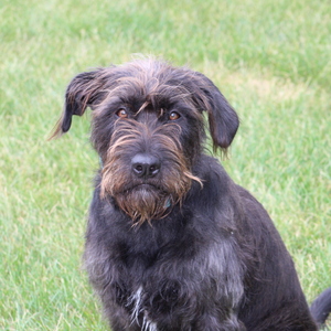 Fundraising Page: Emma Ruetz